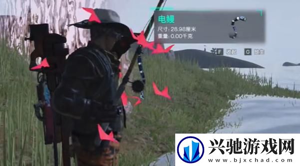 七日世界5级电鳗怎么获得